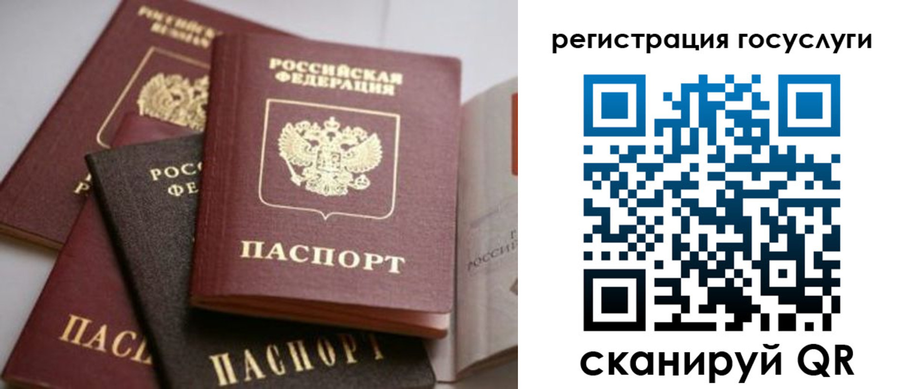 пропишу в квартире в Будённовске